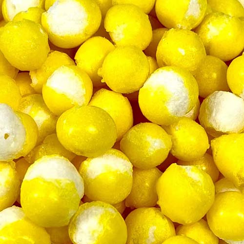 Freeze-Dried Lemon Crunchies