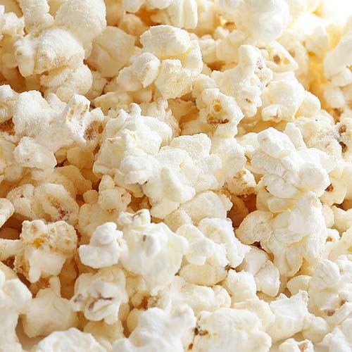 Popcorn White Cheddar