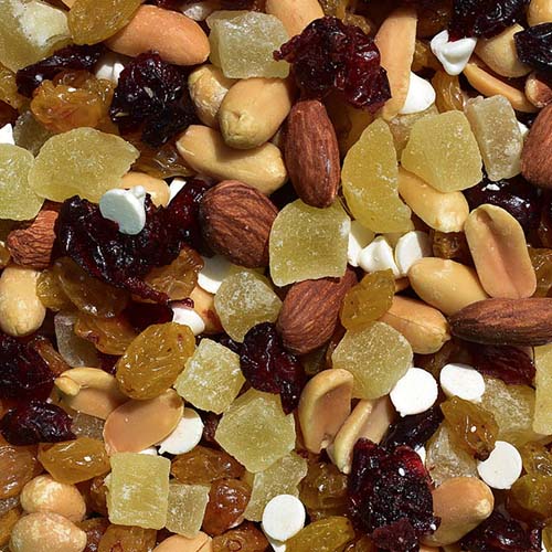 Trail Mix Greek Yogurt